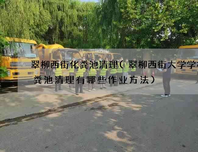翠柳西街化粪池清理(翠柳西街大学学校化粪池清理有哪些作业方法)