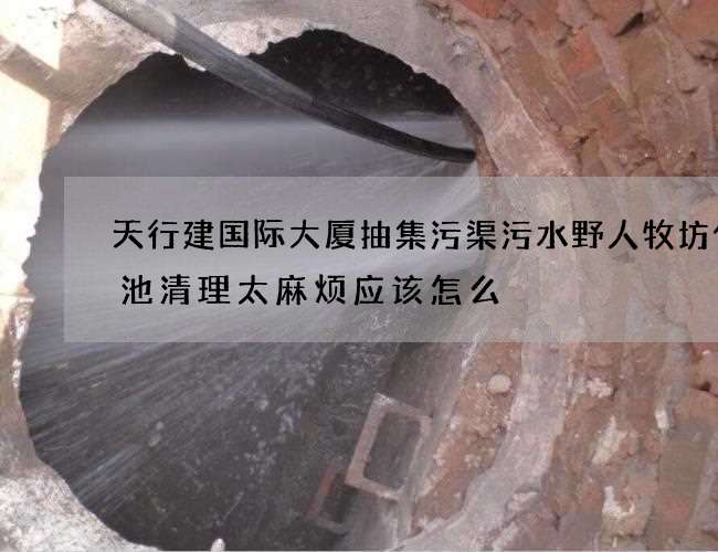 天行建国际大厦抽集污渠污水野人牧坊化粪池清理太麻烦应该怎么