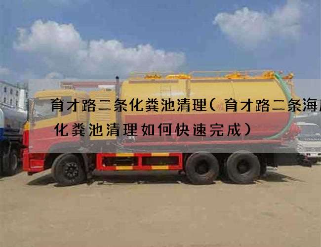育才路二条化粪池清理(育才路二条海底捞化粪池清理如何快速完成)
