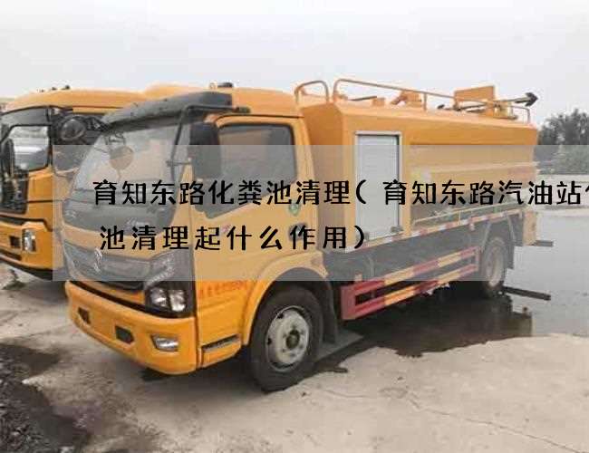 育知东路化粪池清理(育知东路汽油站化粪池清理起什么作用)