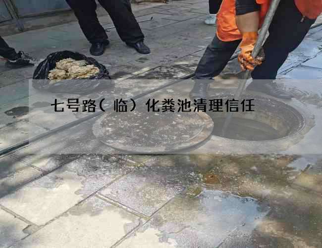 七号路(临)化粪池清理信任