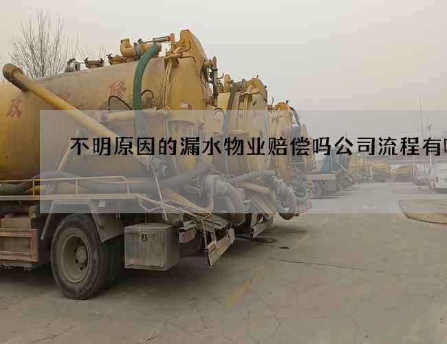 不明原因的漏水物业赔偿吗公司流程有哪些