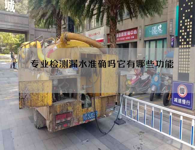专业检测漏水准确吗它有哪些功能