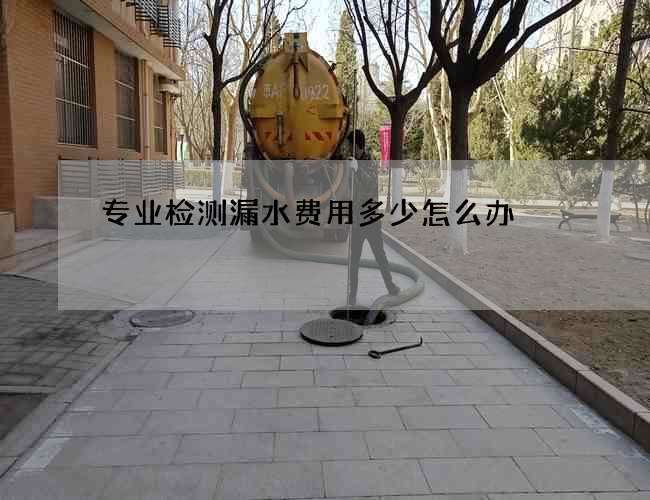 专业检测漏水费用多少怎么办 专业检测漏水费用多少怎么办