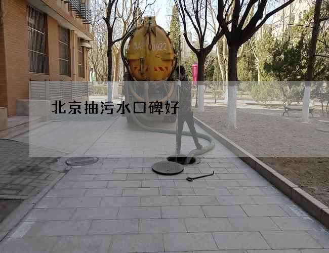 北京抽污水口碑好