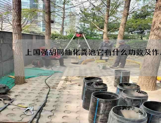 上国强胡同抽化粪池它有什么功效及作用