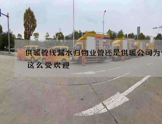供暖管线漏水归物业管还是供暖公司为什么这么受欢迎
