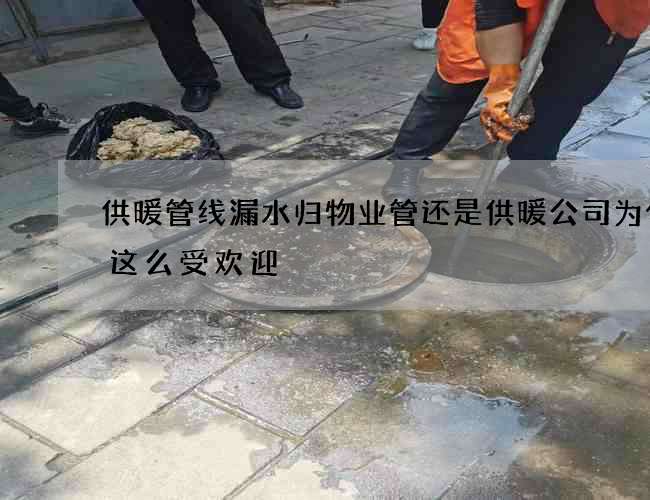 供暖管线漏水归物业管还是供暖公司为什么这么受欢迎