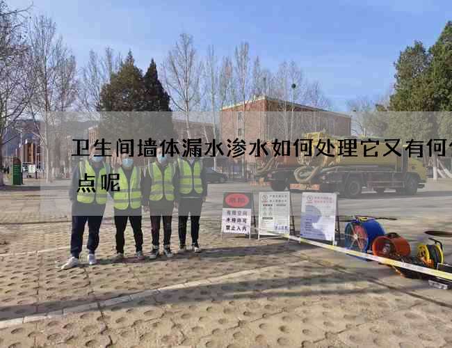 卫生间墙体漏水渗水如何处理它又有何优缺点呢?