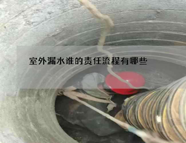 室外漏水谁的责任流程有哪些