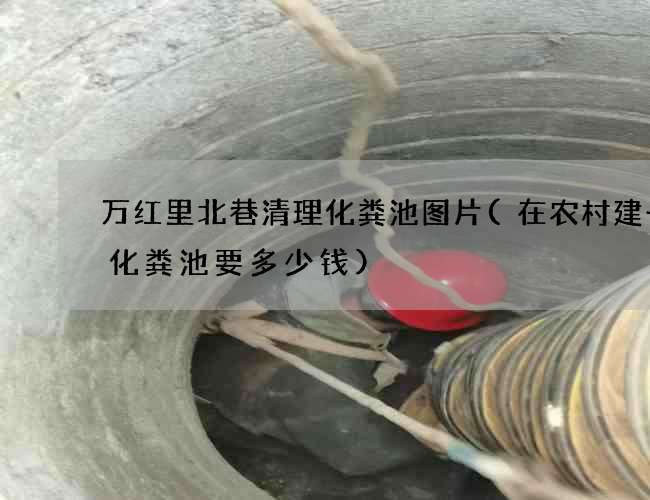 万红里北巷清理化粪池图片(在农村建一个化粪池要多少钱)