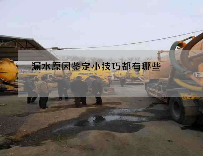 漏水原因鉴定小技巧都有哪些