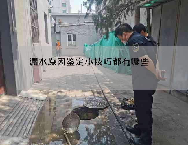 漏水原因鉴定小技巧都有哪些