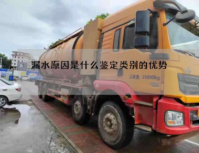 漏水原因是什么鉴定类别的优势