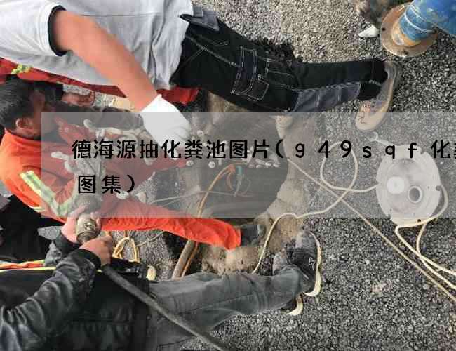 德海源抽化粪池图片(g49sqf化粪池图集)