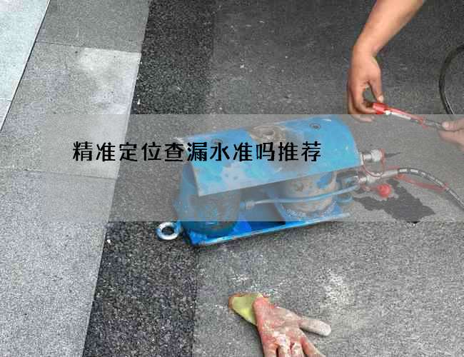 精准定位查漏水准吗推荐