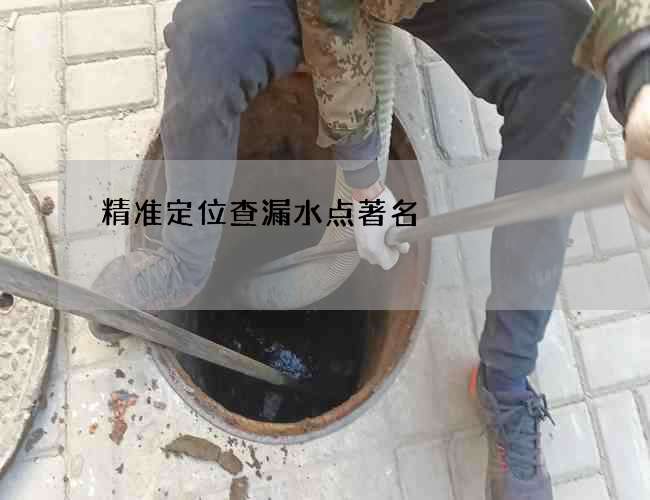 精准定位查漏水点著名