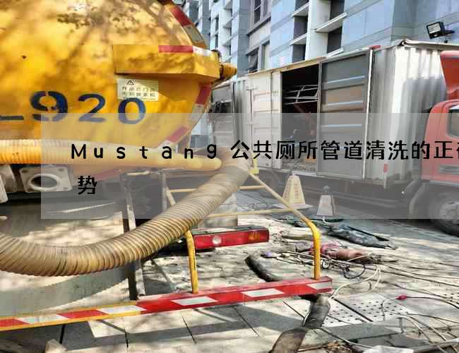 Mustang公共厕所管道清洗的正确姿势