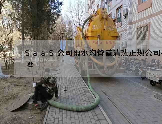 SaaS公司雨水沟管道清洗正规公司有哪些